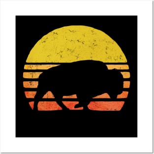 Retro American bison Buffalo Sunset Posters and Art